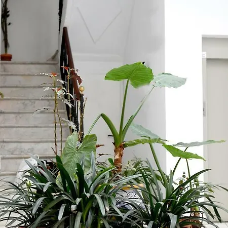 Apartamento Alameda Sevilla